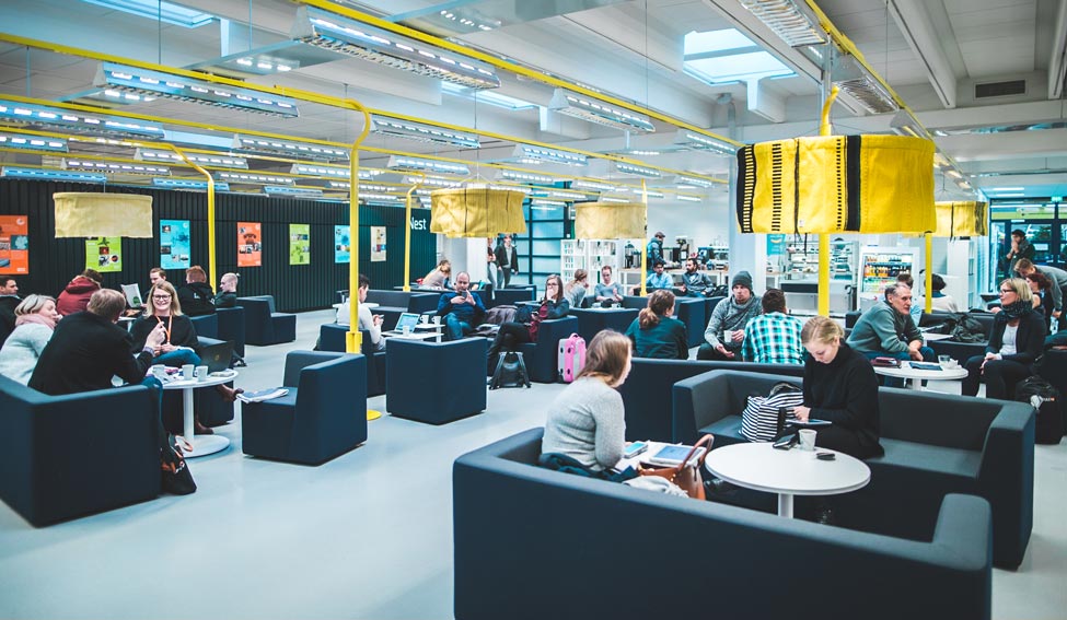 Pohjoinen alma mater