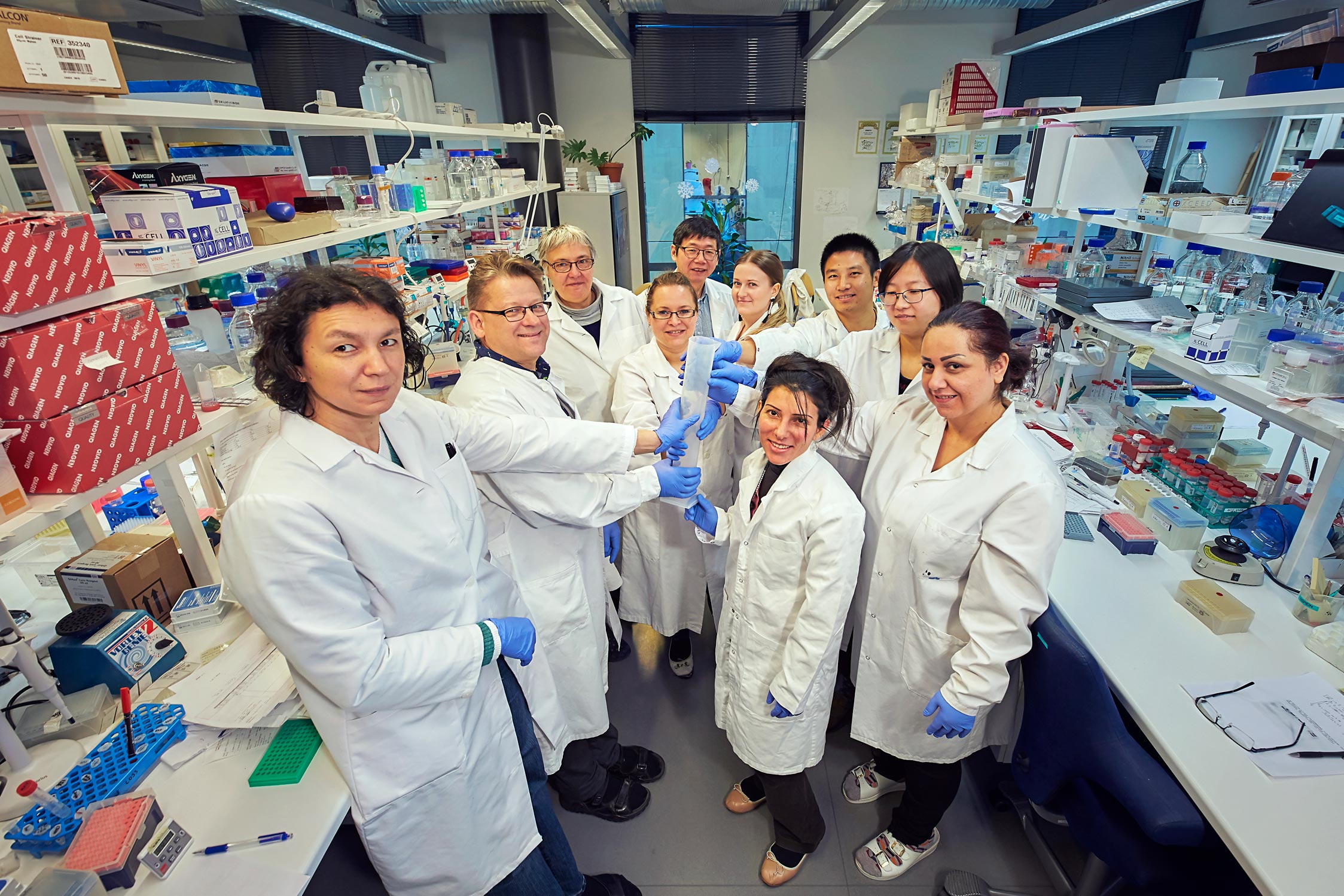 Pohjoinen alma mater