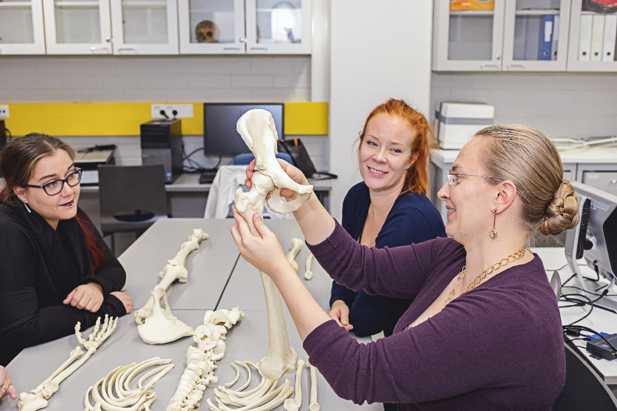 Pohjoinen alma mater